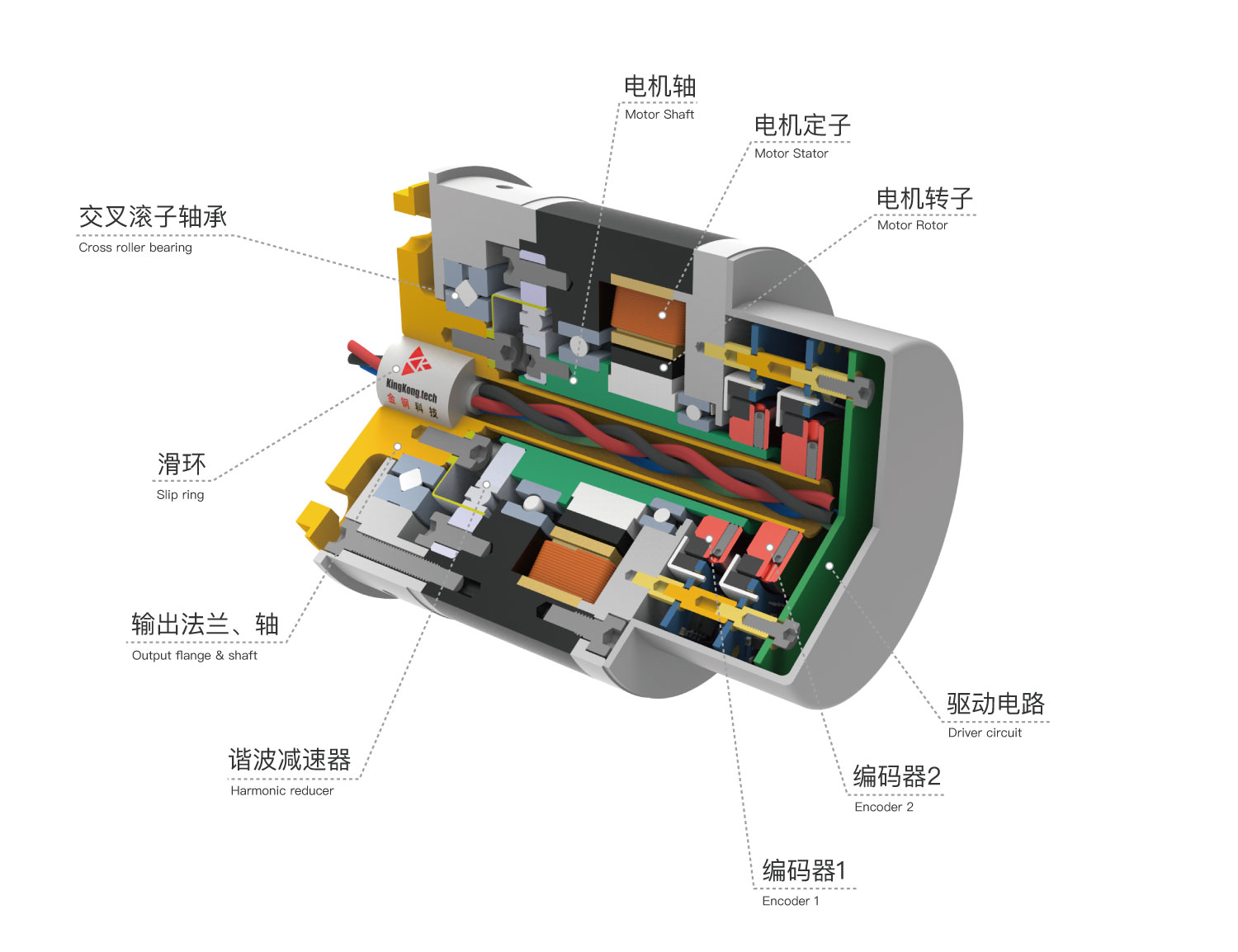 Dual-encoder actuator cross-section
