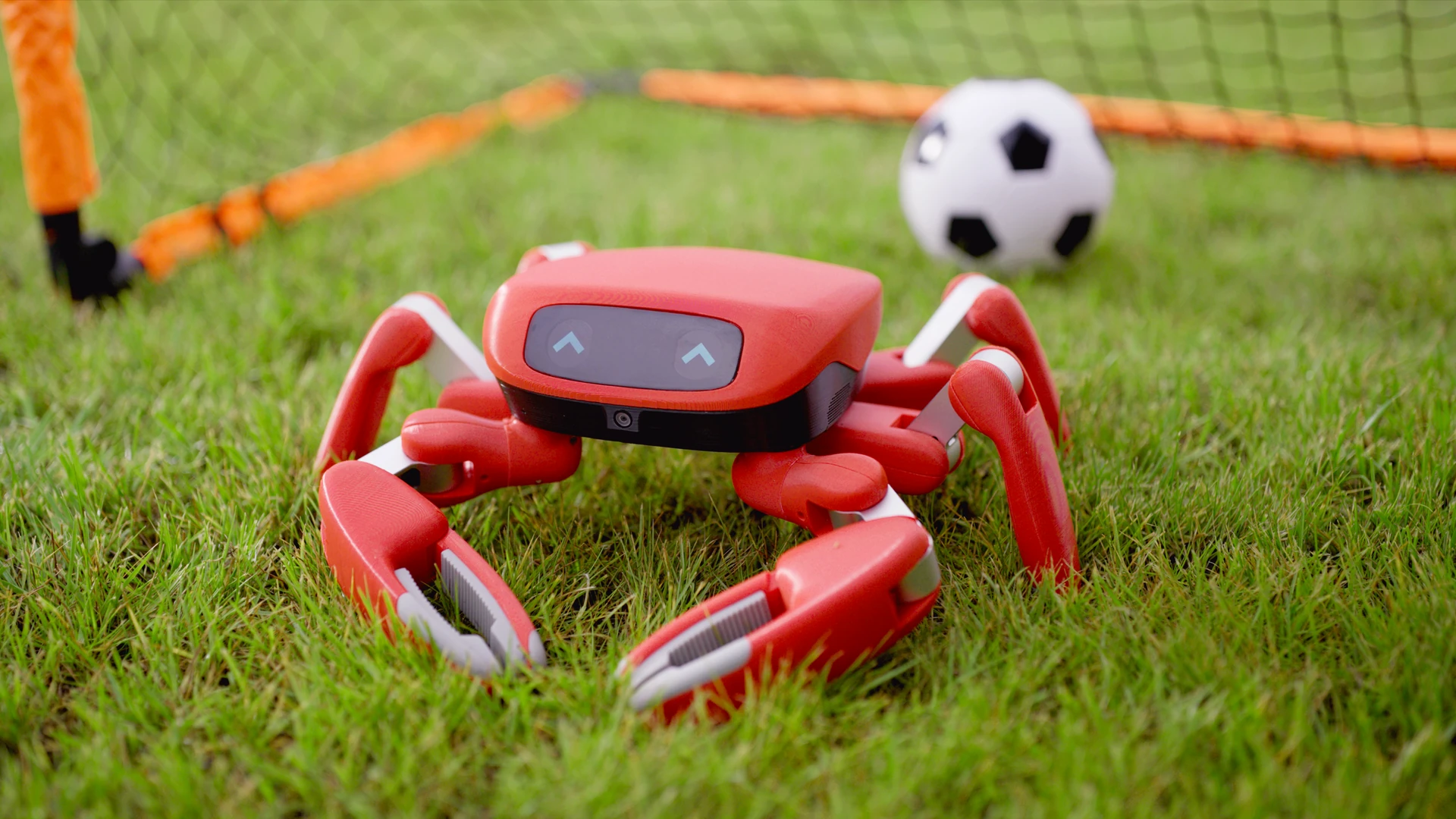 Jumper crab robot in its classic red shell playing football on grass